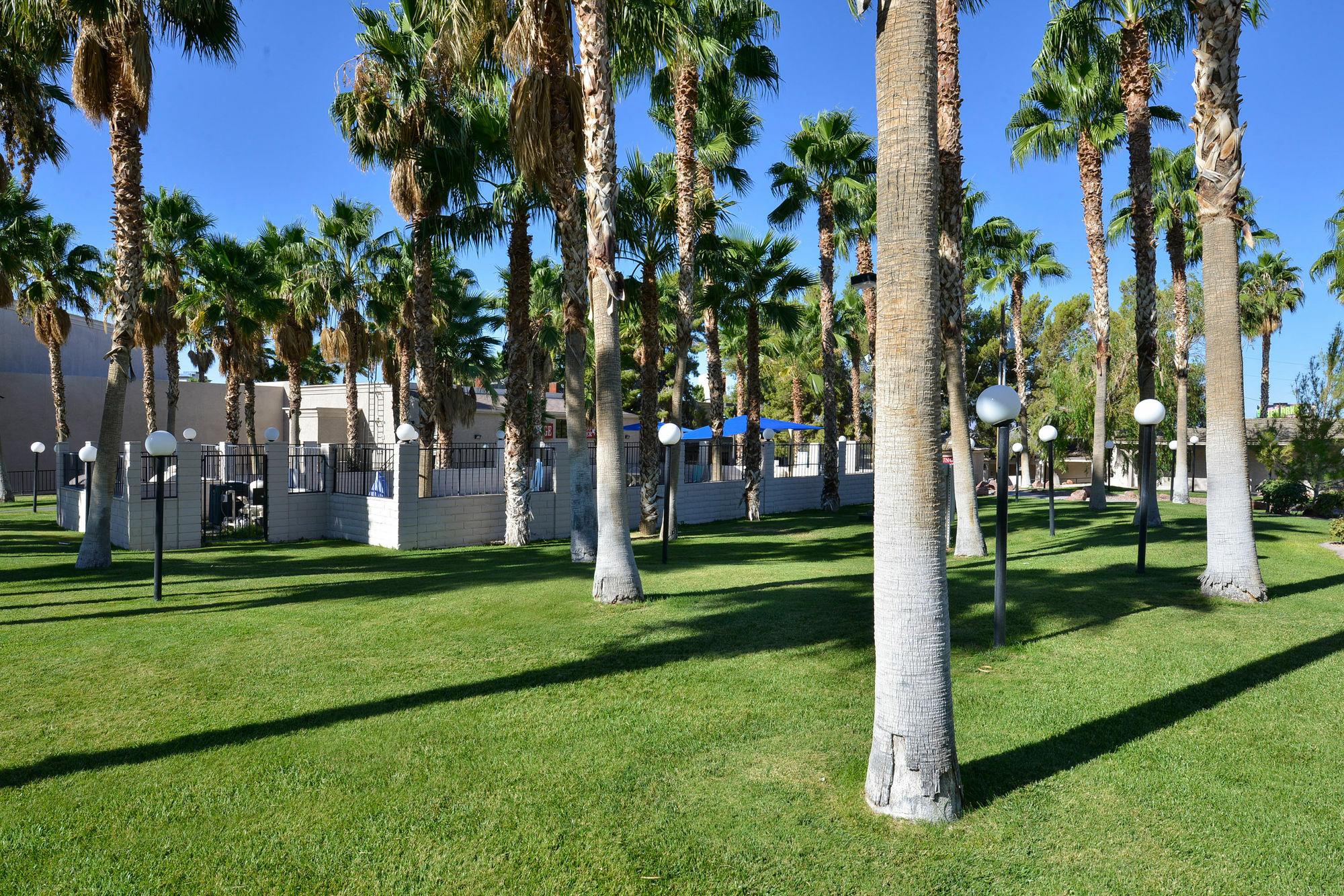 Best Western Pahrump Oasis Exterior foto